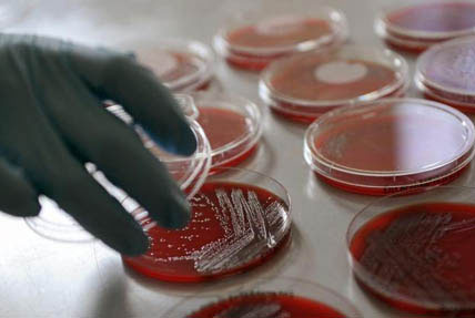 Szakemberhiánnyal küzd a német ipar