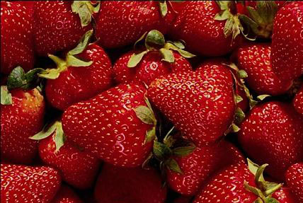 Szakemberhiánnyal küzd a német ipar