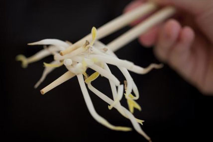 Szakemberhiánnyal küzd a német ipar